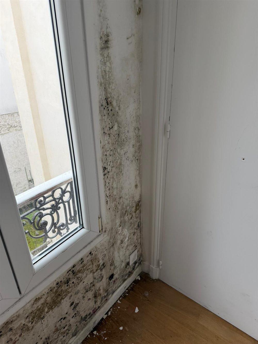 Moisissures noires autour d'une fenêtre dues à la condensation